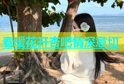 春暖花开杏吧情深意切