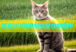 杏吧VIP尊享特权尽在掌握中