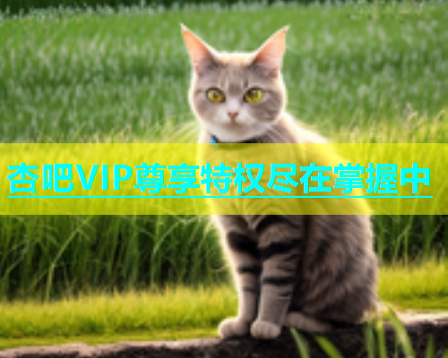 杏吧VIP尊享特权尽在掌握中